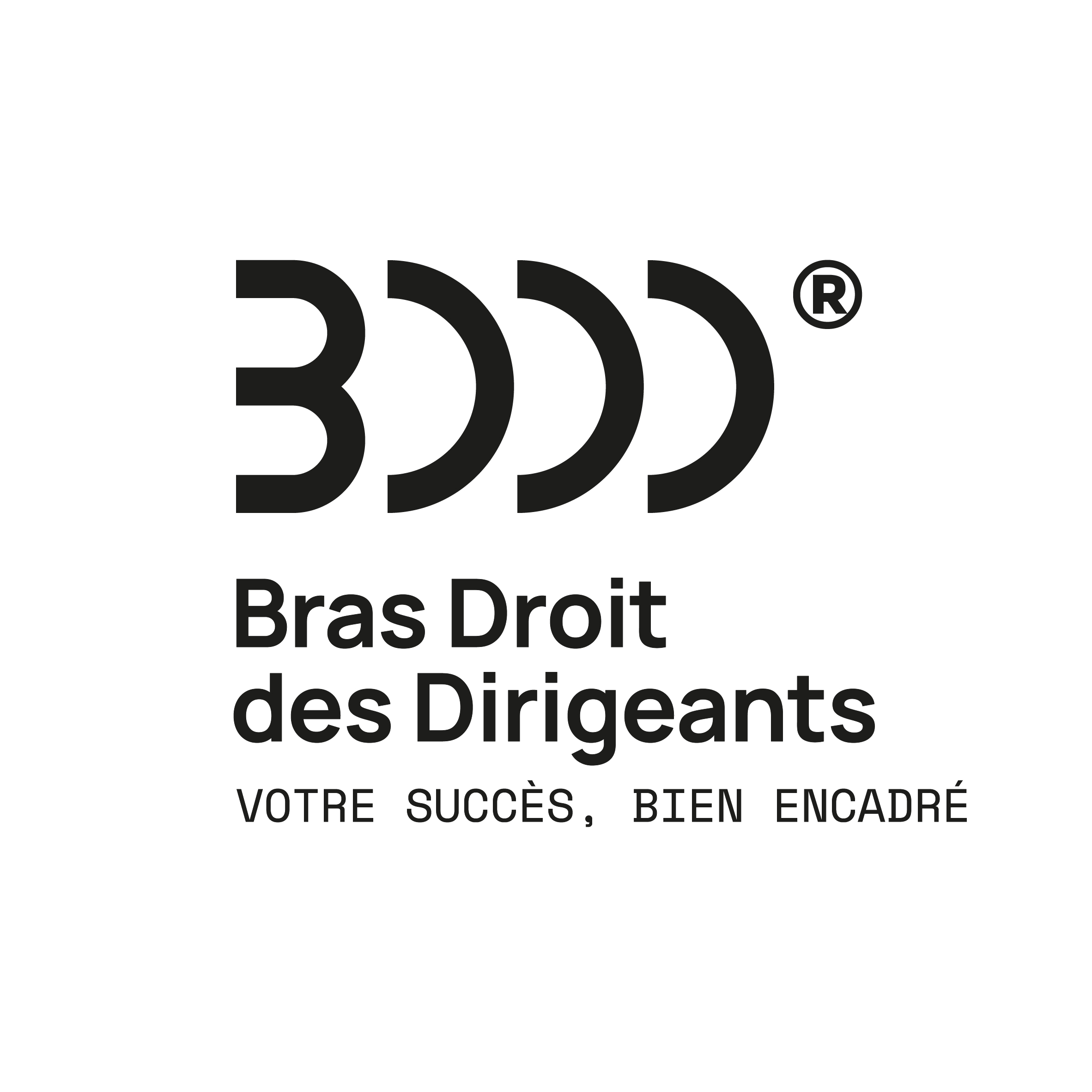BDDD_Logos_carré_Corporate
